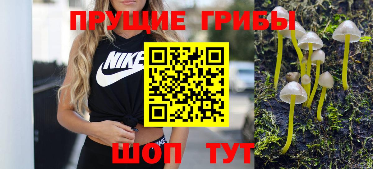 Псилоцибиновые грибы Cubensis Великий Устюг