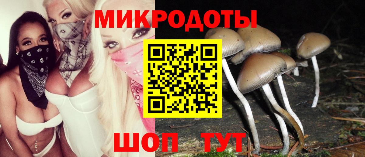 Великий Устюг  Галлюциногенные грибы мицелий  Вход с VPN 